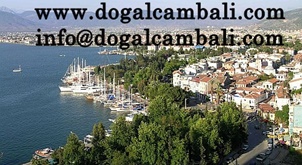 Diğer Web Sayfamız